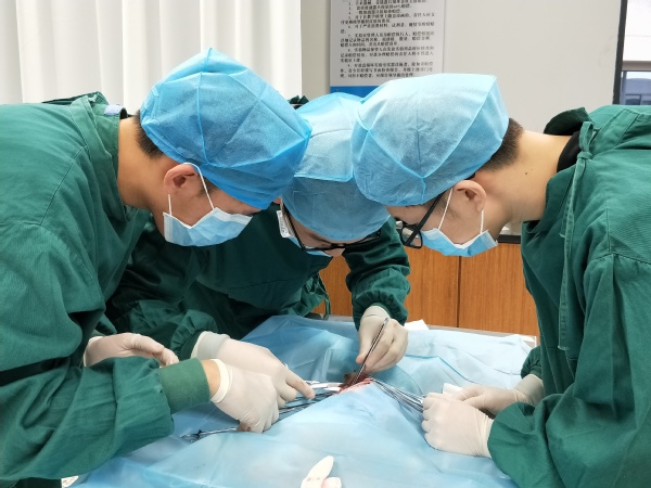 外科学基础实验室